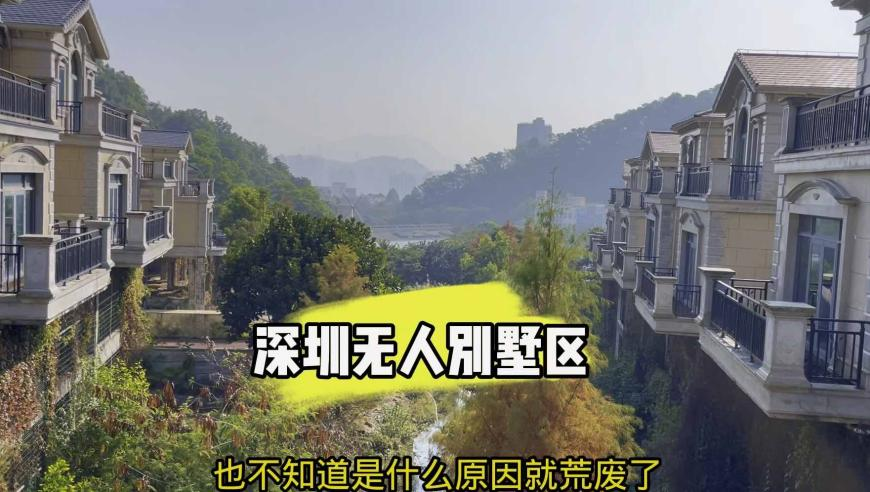 香港资资正版免费大全,多邻国宣布吉祥物去世,完美答案解释落实_交互版V12.52