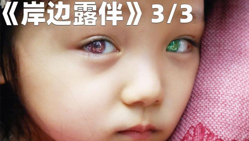 四肖八码期期准精精准,黄灿灿贴脸开大杨晓培,重点解答解释落实_枚举版V12.51