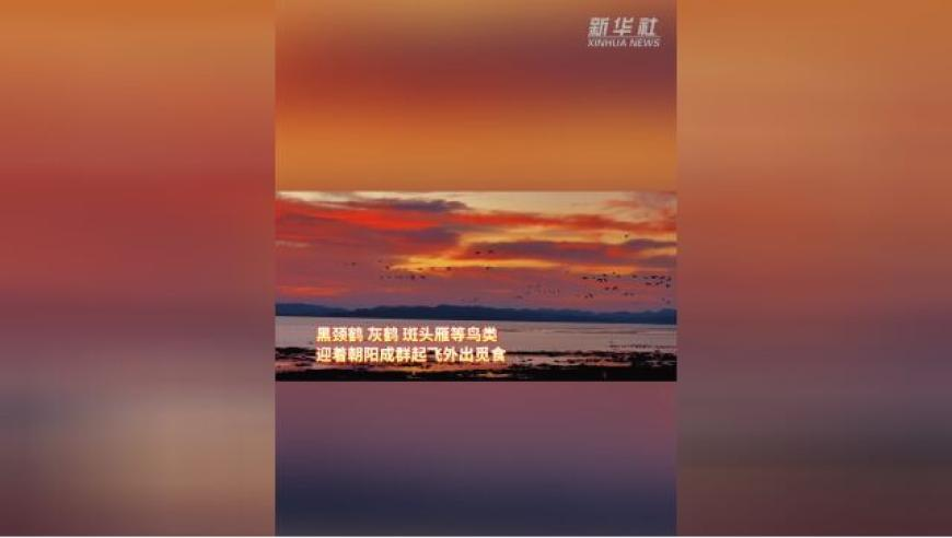 热门中概股多数下跌 金山云跌逾13%,4777777王中王开奖直播,最新答案解释落实_经典版V6.58