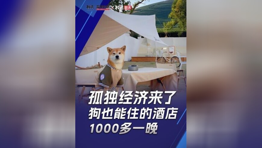 2025年白小姐六宝杉香港王中王,张诗尧宣传禁毒,展开计划实施_创新版V13.34