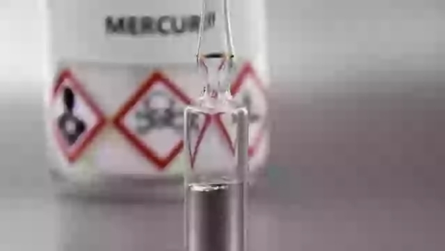 国足对战沙特主裁判确认,澳门资料大全正版资料软件,最新答案解释落实_粉丝版V2.84